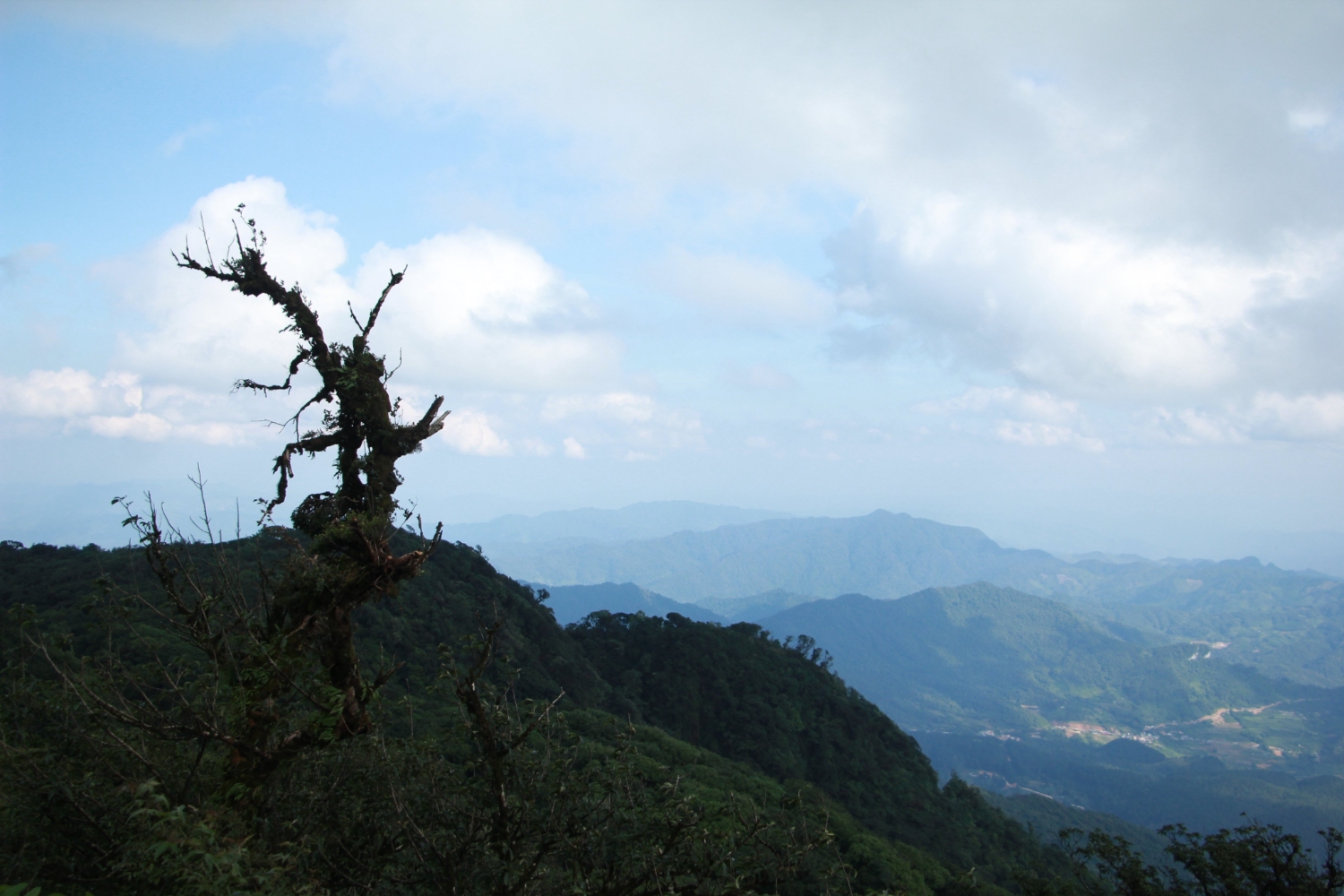 Cảnh quan nhìn từ đỉnh Phja Oắc - đỉnh núi cao thứ hai của tỉnh Cao Bằng.